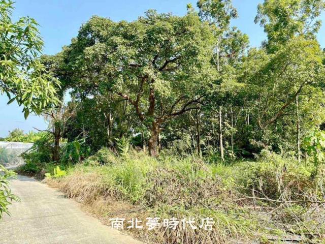 台南南化農地-2