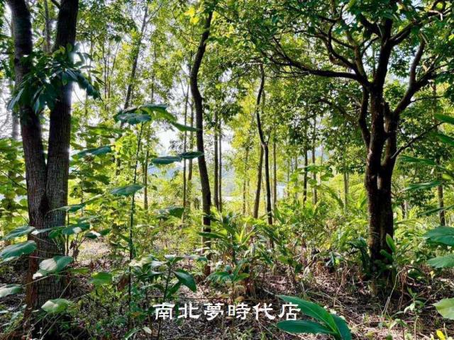 台南南化農地-6