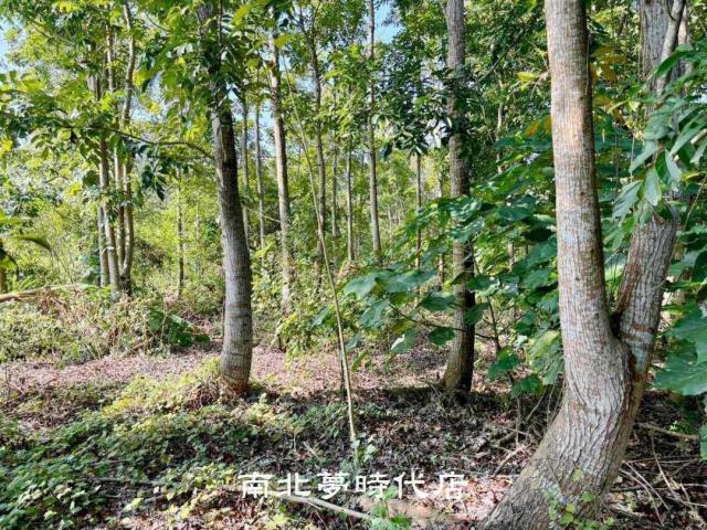 台南南化農地-7
