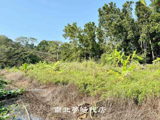 台南南化農地-8