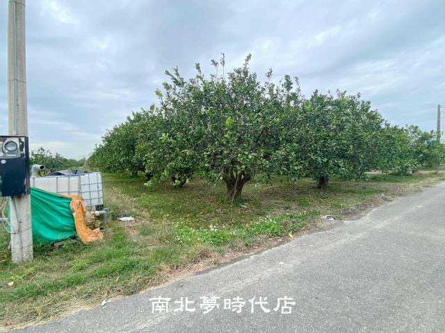 麻豆農地-2