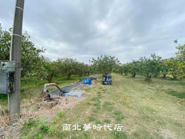 麻豆農地-4