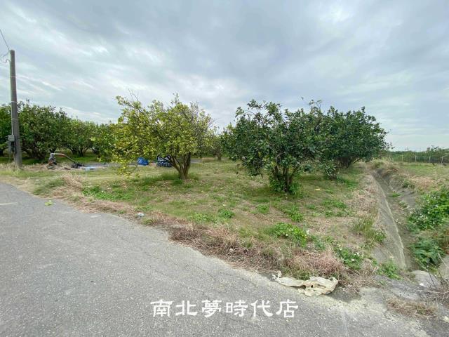 麻豆農地-5