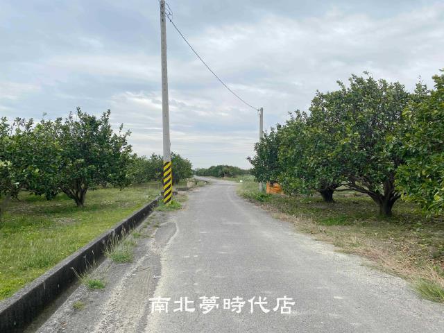 麻豆農地-7