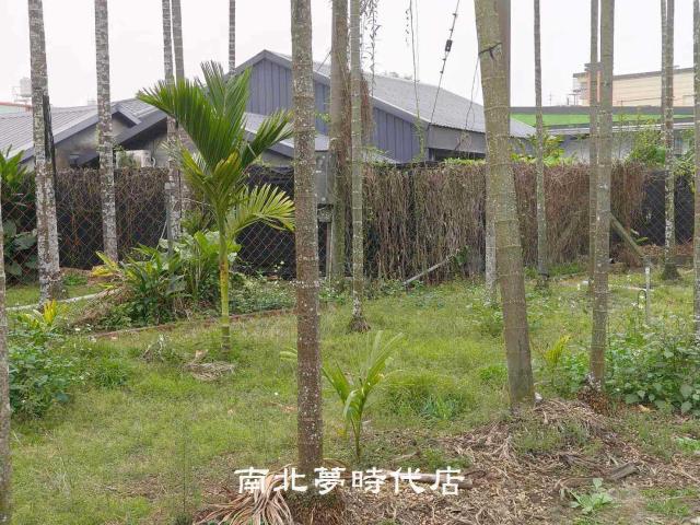 屏東萬巒農地-3