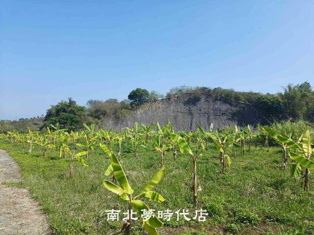 玉井農地-9