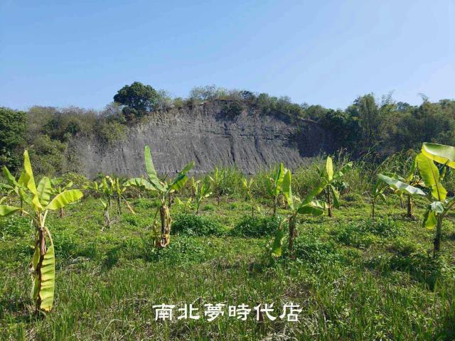 玉井農地-10