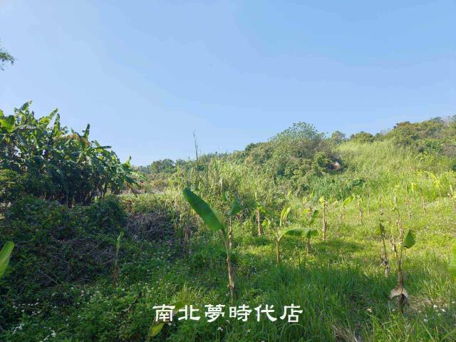 玉井農地-11