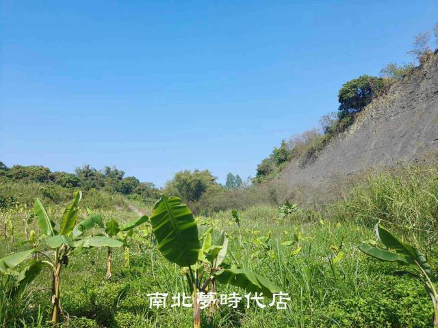 玉井農地-12