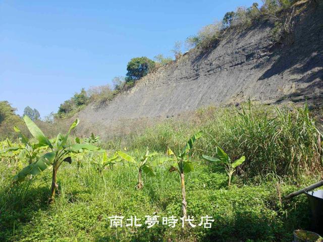 玉井農地-13
