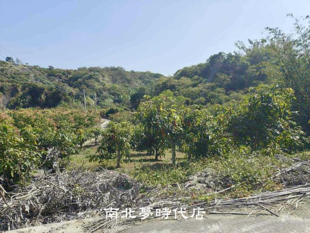 玉井農地-0