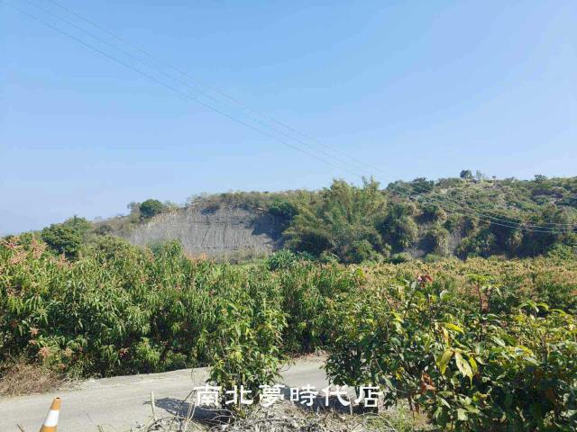 玉井農地-2