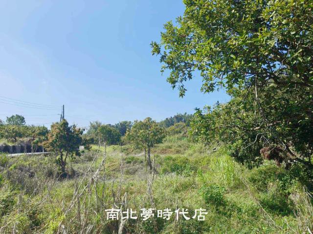 玉井農地-3