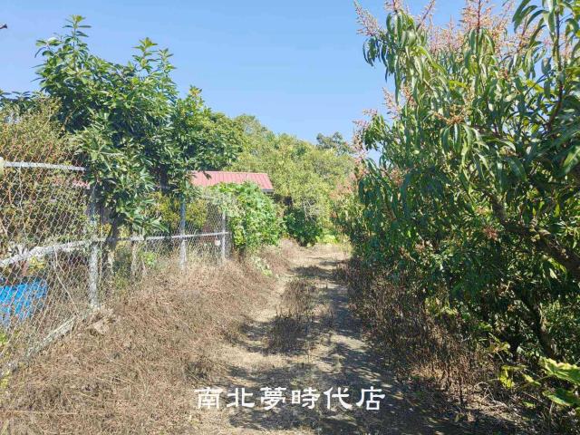 玉井農地-5