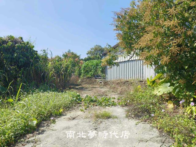 玉井農地-6