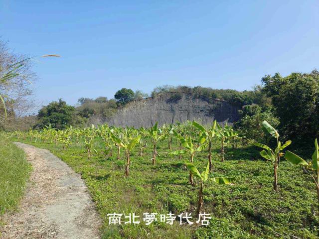 玉井農地-7