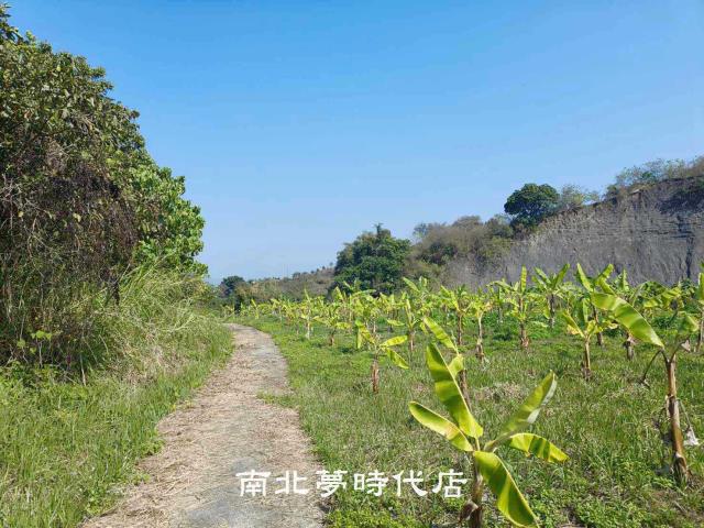 玉井農地-8