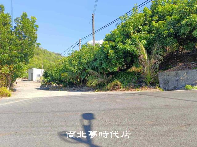 台南楠西山坡地-9
