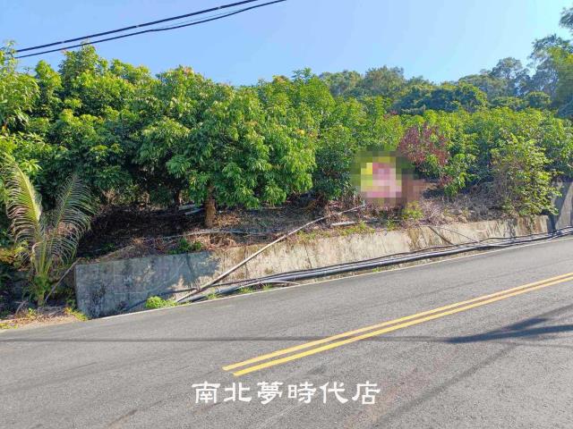 台南楠西山坡地-11
