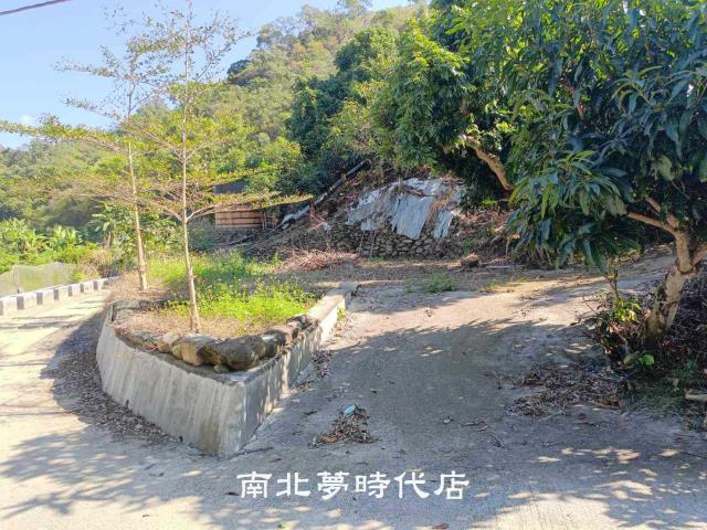 台南楠西山坡地-1