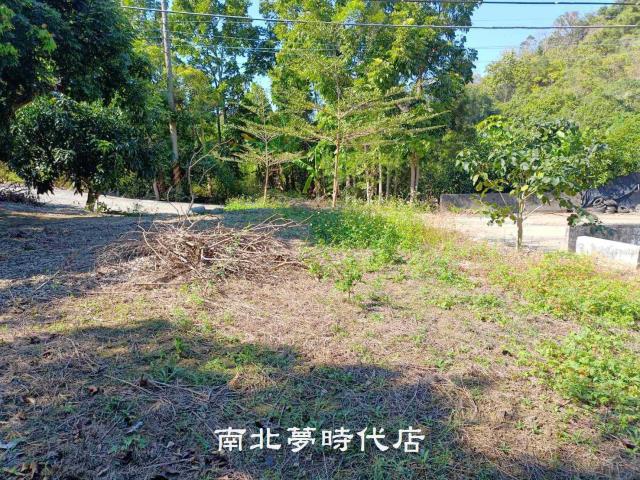 台南楠西山坡地-3