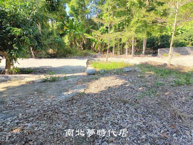 台南楠西山坡地-4