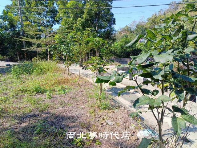 台南楠西山坡地-6