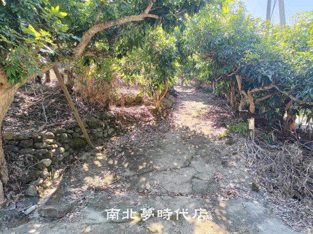 台南楠西山坡地-7