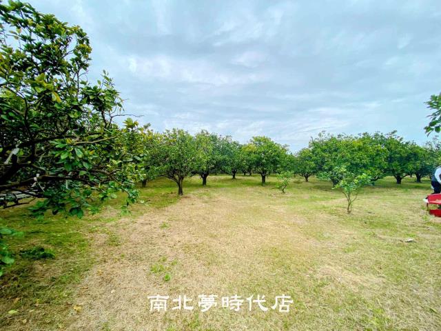 台南麻豆農地-5