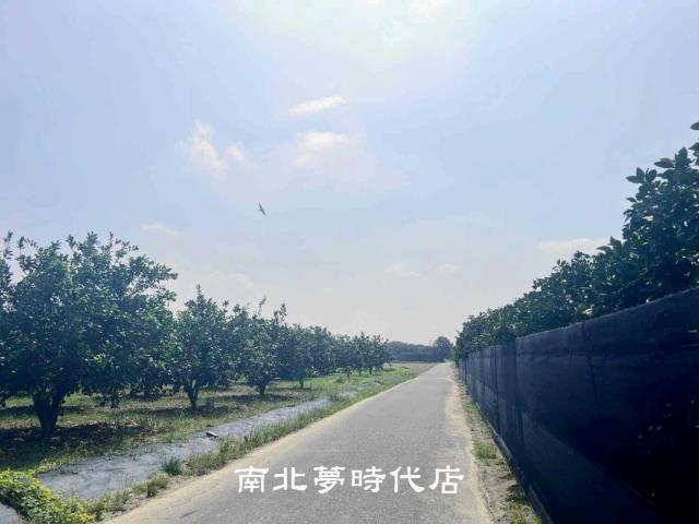 台南農地-3
