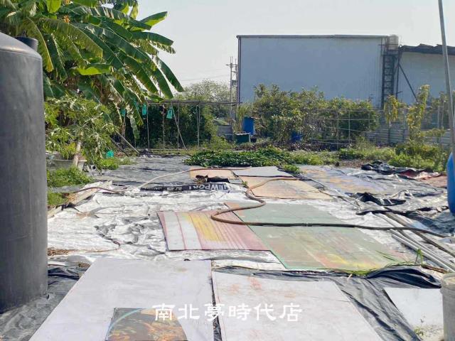 台南南區農地-9