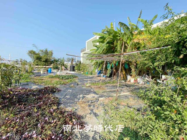 台南南區農地-1