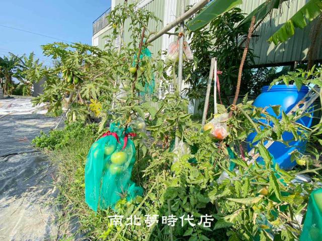 台南南區農地-2