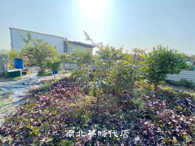 台南南區農地-4