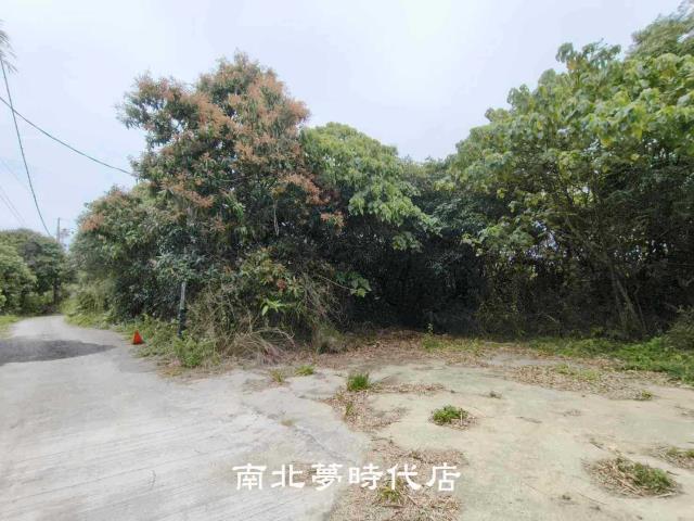 台南新化農地-2