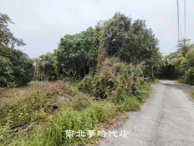 台南新化農地-3