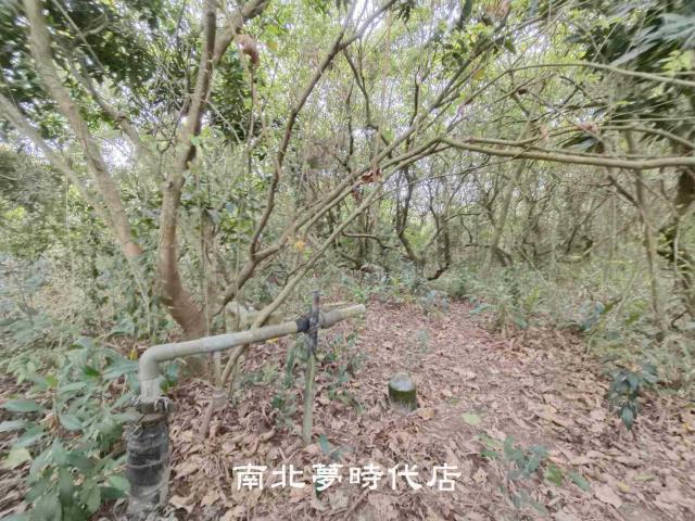 台南新化農地-5