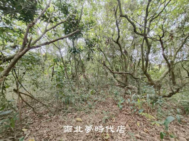 台南新化農地-6