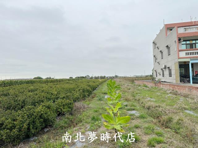 太保農地-1