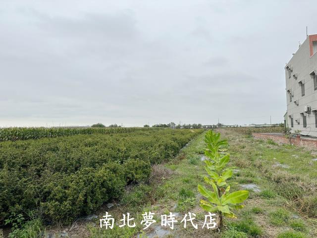 太保農地-3