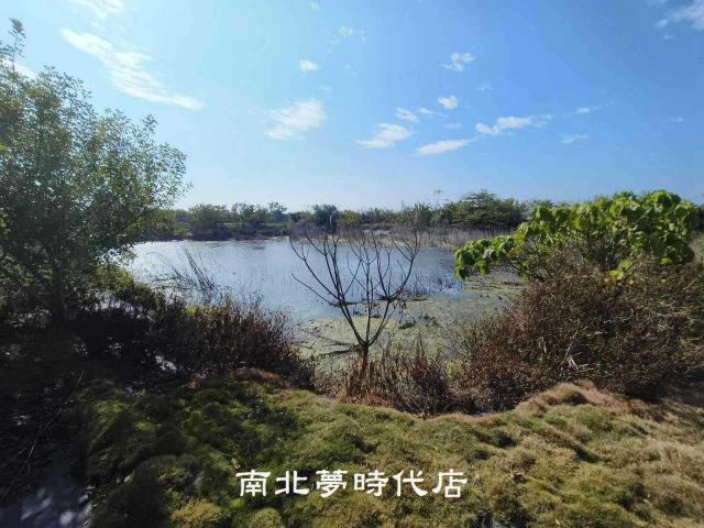麻豆農地-3