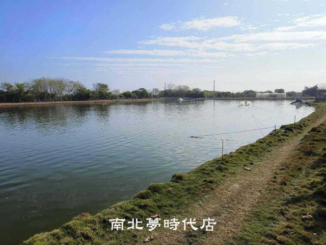 麻豆農地-4