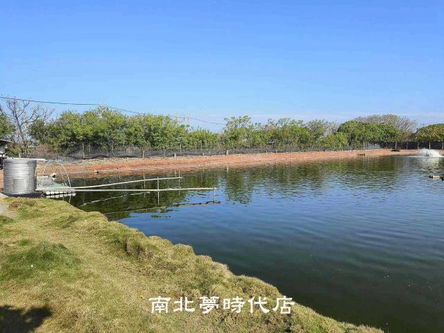 麻豆農地-6