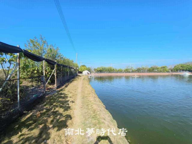 麻豆農地-7