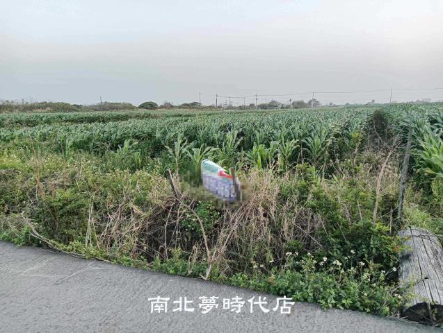 台南農地-1
