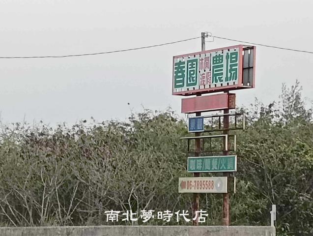 台南農地-5