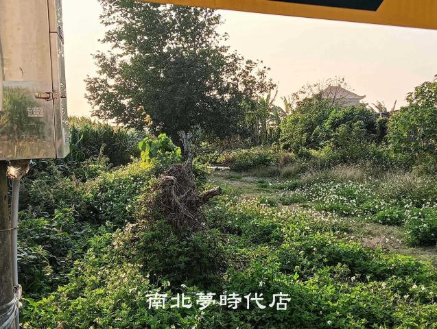 台南佳里農地-0