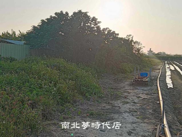 台南佳里農地-6