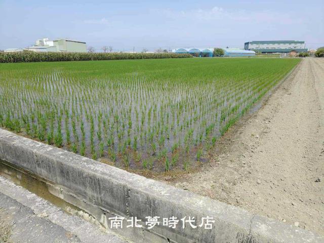佳里農地-1