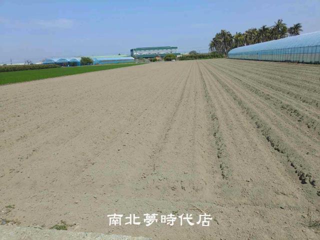 佳里農地-5